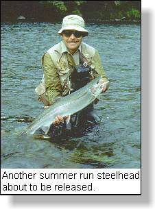Salmon & Steelhead Spinning Archives - Tyee Marine Campbell River,  Vancouver Island, BC, Canada