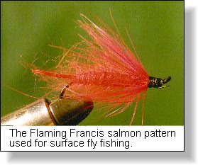 Pacific Salmon Flies for Fly Fishing