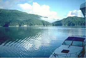 Shearwater, BC Saltwater Salmon & Sportfishing British Columbia