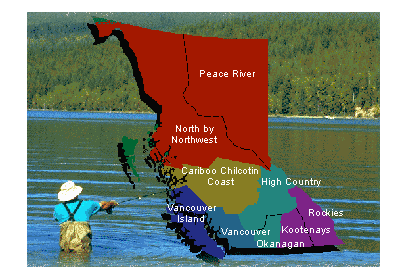 Trout Fishing British Columbia Lakes