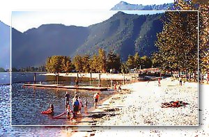 Sicamous Beach