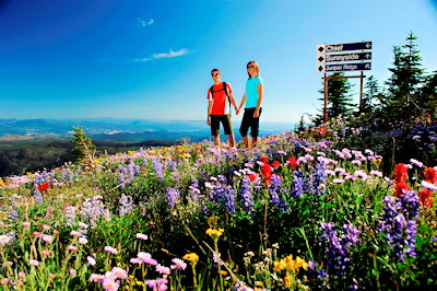 Hiking at Sun Peaks, BC