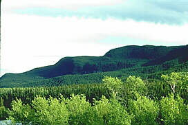 Nechako Valley