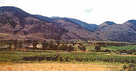  Agriculture à Osoyoos 