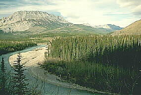 The Liard River