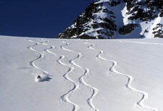 Tracks on Solitaire