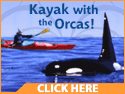 Kayak with Orca Whales