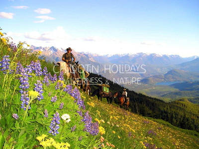 Wilderness trips in alpine meadows