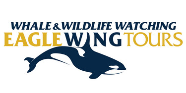 Eagle Wing Tours, Victoria, BC 