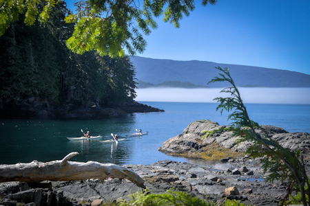 Kayaking in BC with Orcas