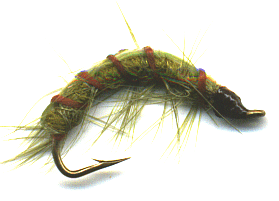 Fly Pattern Michigan Caddis